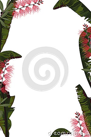 Green colorful tropical vector design square frame. Red protea flowers and banana leaves. Natural exotic card template. Stock Photo