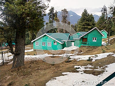 green cottage houses in forest Stock Photo
