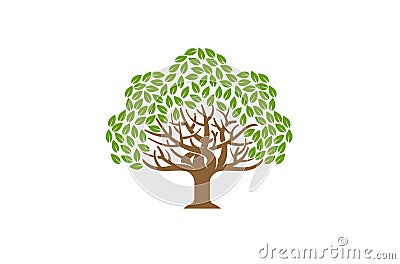 Green Creative Oak Tree Logo Vector Illustration