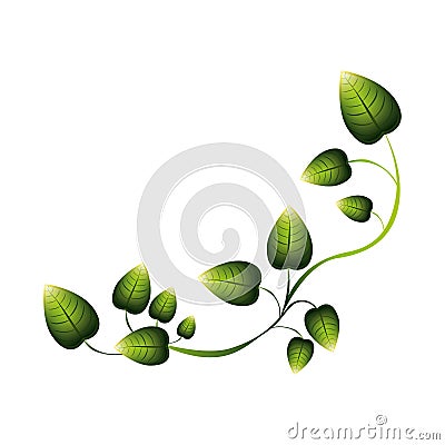 green creeper with multiple leaves Cartoon Illustration