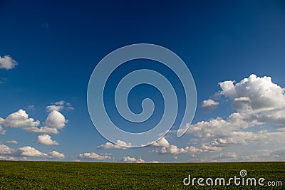 Green crop field Stock Photo