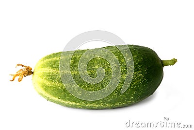 Green cucumber with a sheet isolated on white background Stock Photo