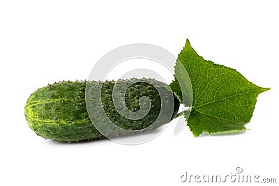 Green cucumber with a sheet isolated on white background Stock Photo