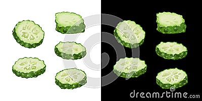 Green Cucumber Slices hand drawn illustration Cartoon Illustration
