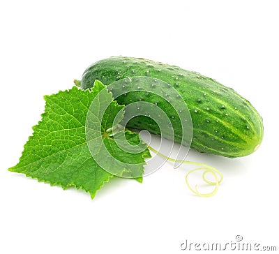 Green cucumber vegetable fruit with leaf isolated Stock Photo