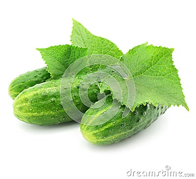 Green cucumber vegetable fruits with leafs Stock Photo