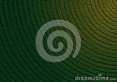 Green curved lines gradient sisal fiber woven material Stock Photo