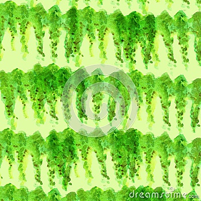 Green dangling down loach with leaves watercolor painted background green plant flora Stock Photo