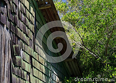 Green details of a house in Hawi Stock Photo
