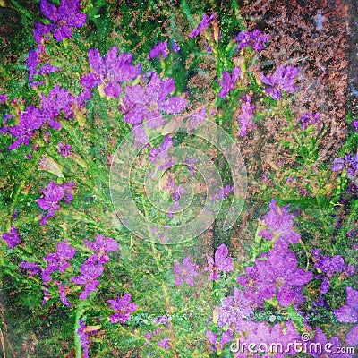 purple flowers bricks multiexposure hipstamatic Stock Photo