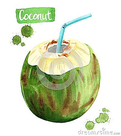 Green drinking coconut, watercolor illustration Cartoon Illustration