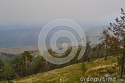 Green dry trees after a fire stand against the background of the shore of lake Baikal in fog, smoke, in warm light Stock Photo