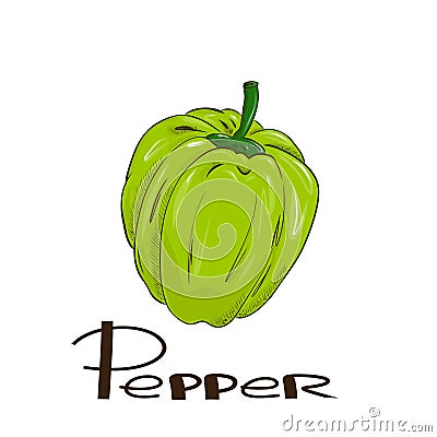 Green bell pepper, vector in flat cartoon style. Healthy eating concept. Vector Illustration