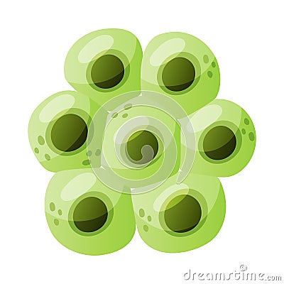 Green Eggs of Frog or Frogspawn Cluster Vector Illustration Vector Illustration