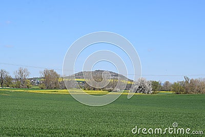 green Eifel village with blooming trees and fields at a volcano Stock Photo