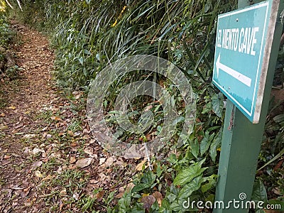 Green El Viento, the wind, cave sign with arrow in the Guajataca forest in Puerto Rico with lizard and trail Stock Photo