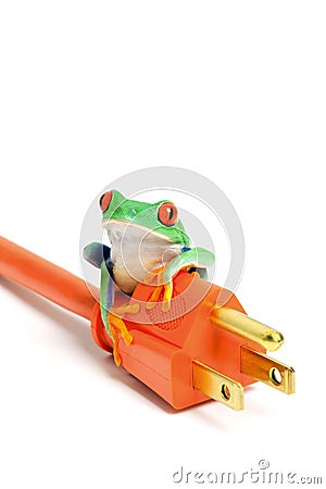 Green energy - frog on power plug isolated Stock Photo