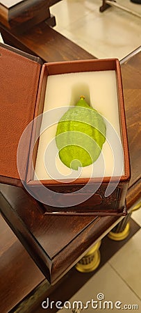 A green Etrog with Leather box Stock Photo