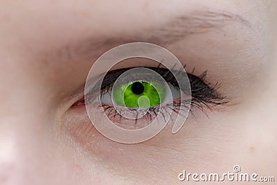 The green eye Stock Photo