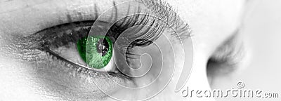 Green Eye - Beautiful, Feminine Stock Photo