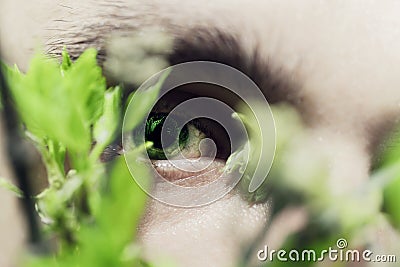Green eyes of a young man Stock Photo