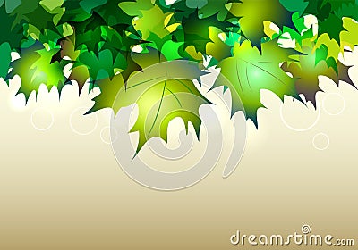 Green falling Maple Leaves Vector Illustration