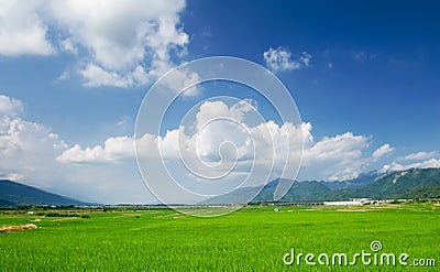 Green farm with blue sky and white clouds Stock Photo