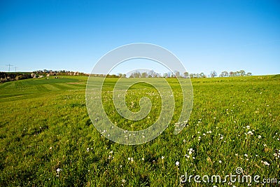 Green farmland, meadow in the spring and summer season, countryside landscape, agriculture in Germany Stock Photo