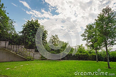 Green fenced backyard with trees Stock Photo