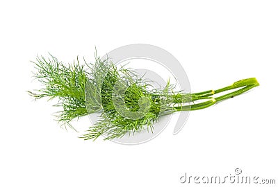 Green fennel isolated on white background Stock Photo