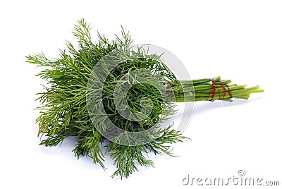 Green fennel leaf Stock Photo