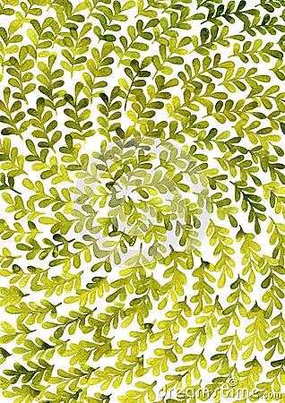 Green fern leaves watercolor background for decoration on spring season. Stock Photo