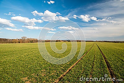 Green field and beautiful clouds divided by flat horizon, Czech republic Stock Photo