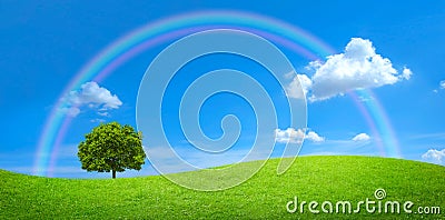 Green field with a big tree and rainbow Stock Photo