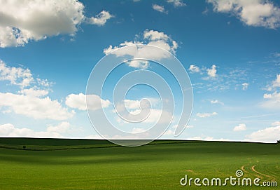 Green field with blue sky Stock Photo