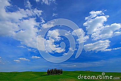 Green field with dark blue sky with white clousds, Tuscany, Italy. Tuscany landscape in summer. Summer green meadow with tree Stock Photo