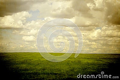 Green field Stock Photo