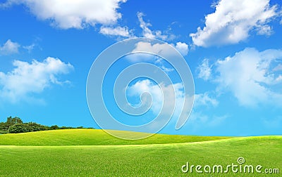 Green field Landscape Stock Photo