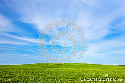 Green field landscape, sunny blue sky Stock Photo