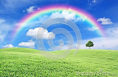 Green field with lone tree and rainbow Stock Photo