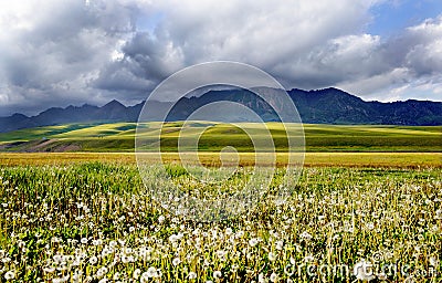 Green grassland, mountains, blue sky and white clouds Stock Photo