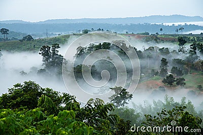 Green field, tree with the blue sky, fog and cloud in the morning Stock Photo