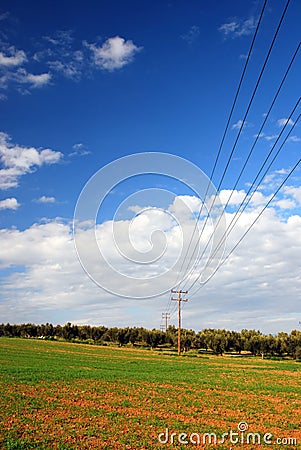 Green fields, blue sky, power lines Stock Photo