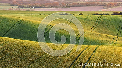 Green fields in the evening in South Moravia Stock Photo