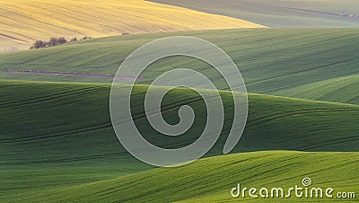 Green fields in the evening in South Moravia Stock Photo