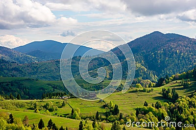 Green fields rural landscape Stock Photo