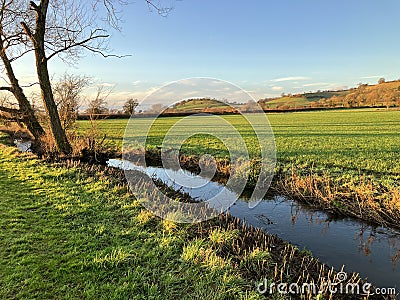 Green fields and stream in winter, Somerset, UK Stock Photo