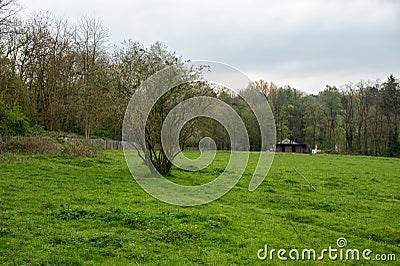 Green fields and trees at the Avijl Plateau regional park, Brussels, Belgium Stock Photo