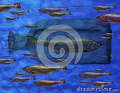 Green fish trapped in glass bottle Stock Photo