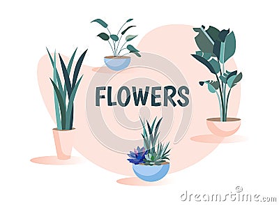 Green Flowers Set with Cartoon Home Plants in Pots Vector Illustration